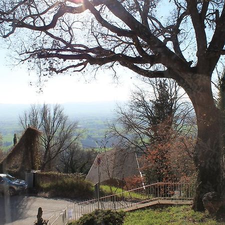 Sogni D'Assisi Bed & Breakfast Bagian luar foto