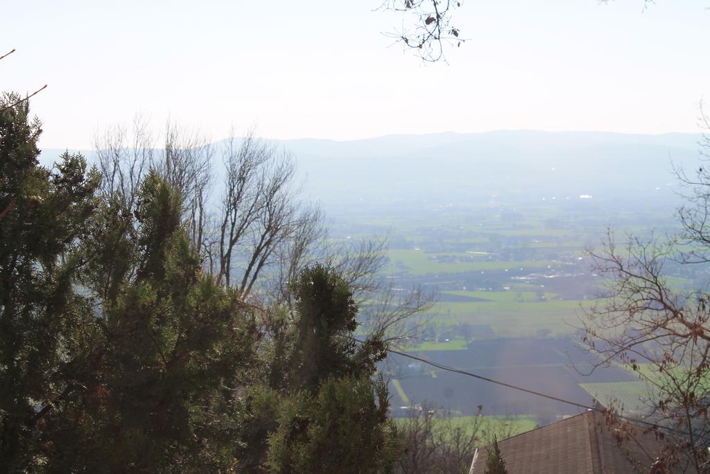 Sogni D'Assisi Bed & Breakfast Bagian luar foto